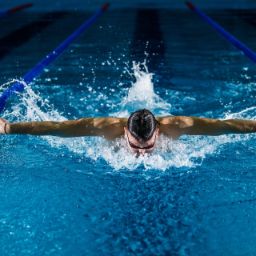 Cultura, sport e manifestazioni