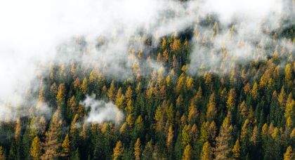 Avviso attivazione nuova funzione paesaggistica Unione di Comuni Montani Appennino Pistoiese
