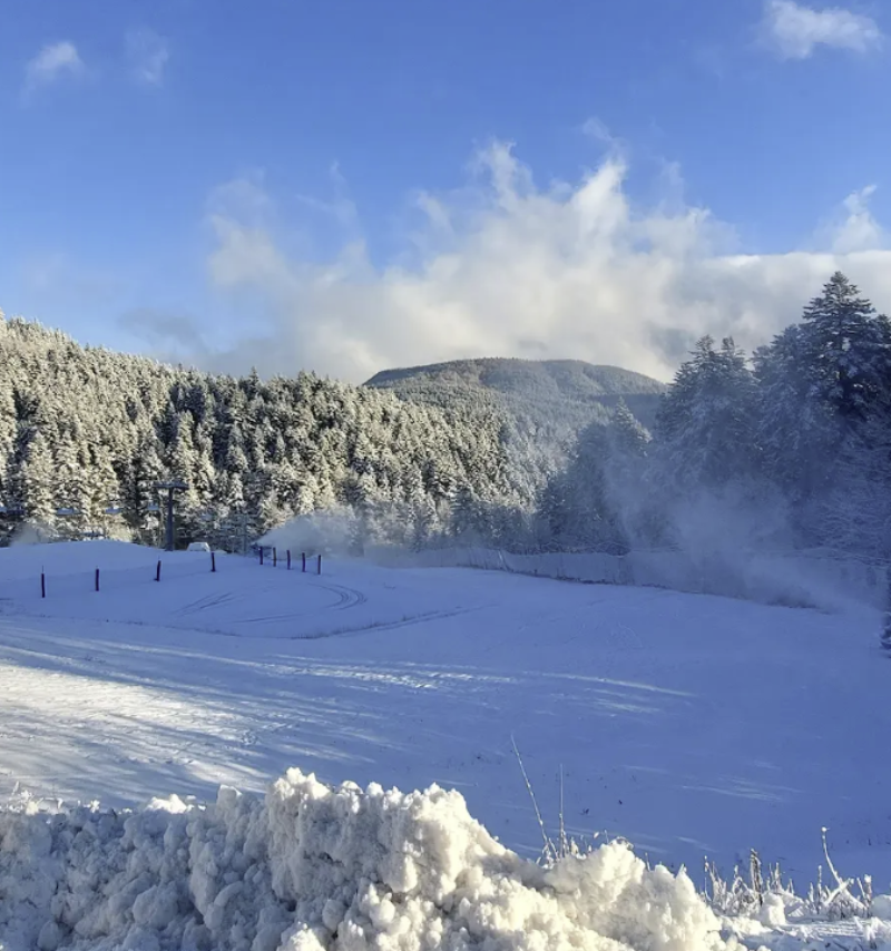 Neve Neve