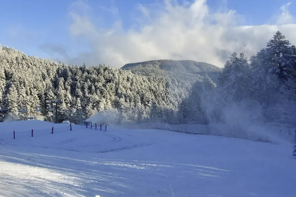 Neve Neve